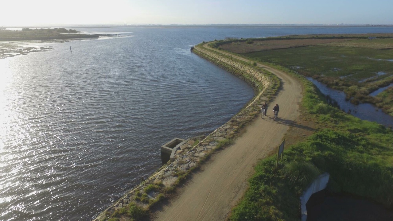 Photo of Outdoor in Murtosa