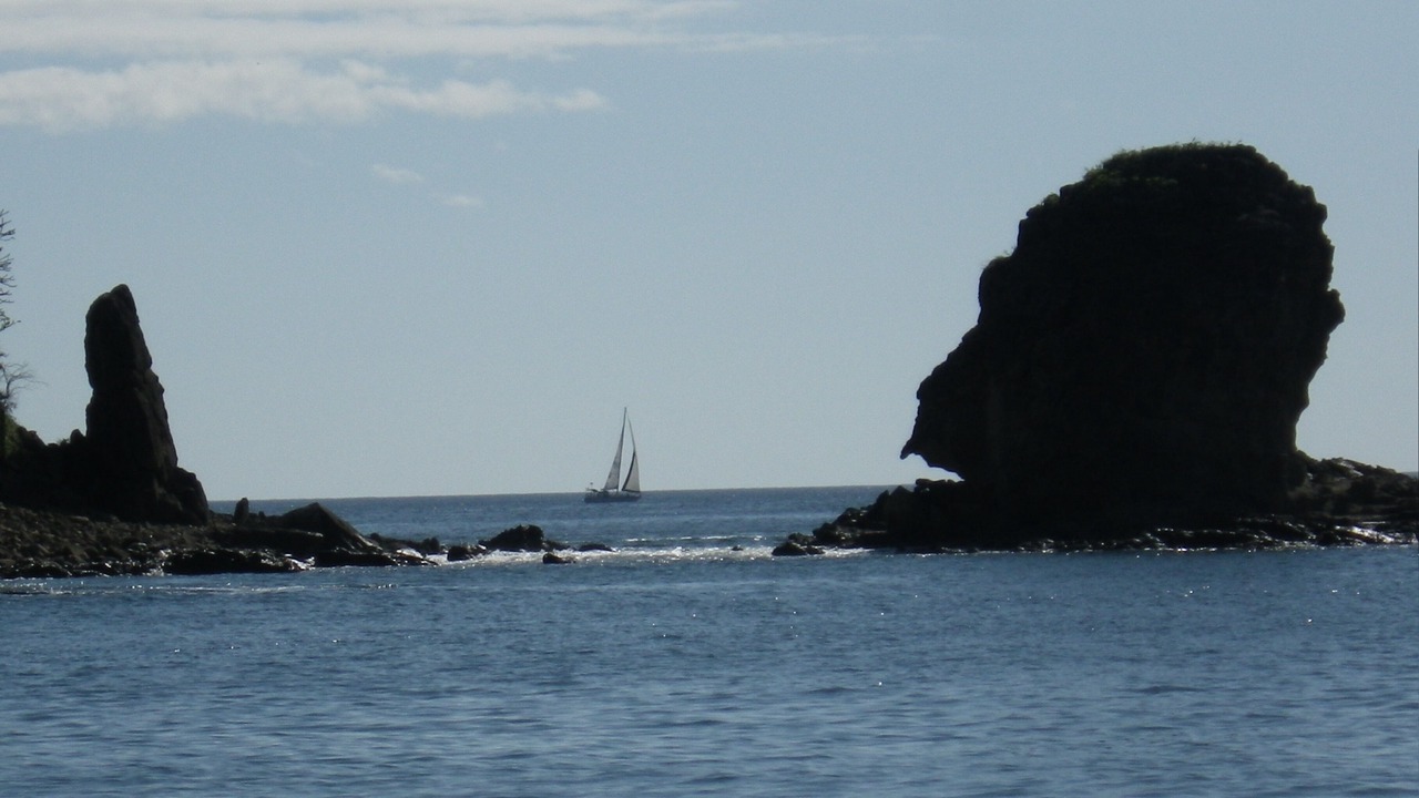 Photo of Others in Paradise Bay