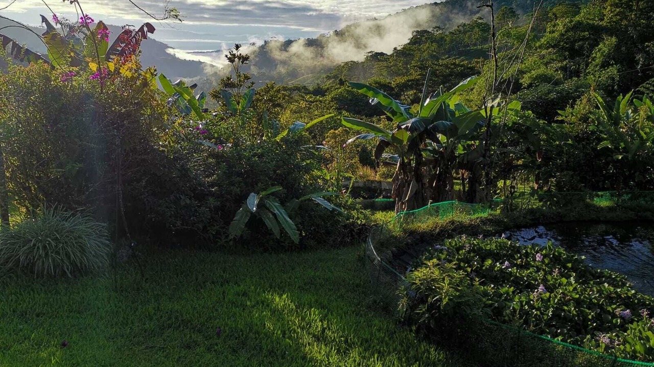Photo of Outdoor in Pejibaye