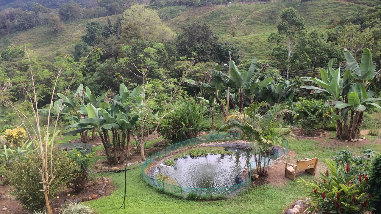 Photo of Others in Pejibaye