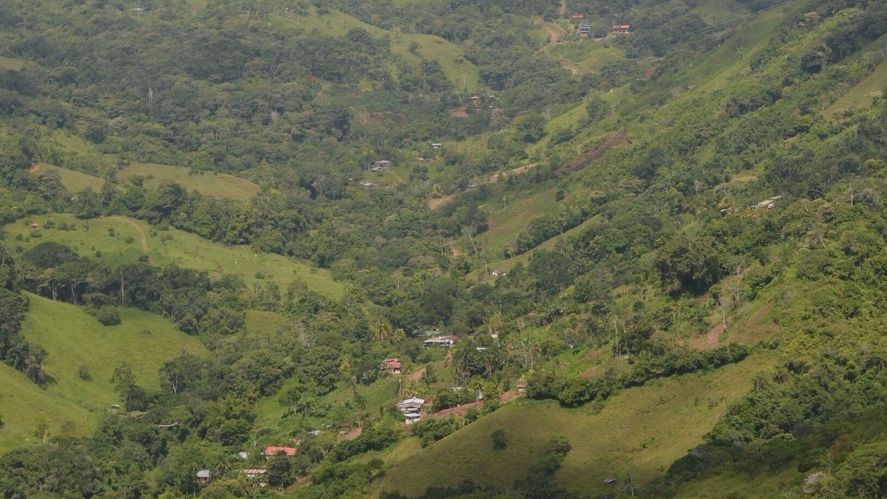 Photo of Others in Pejibaye