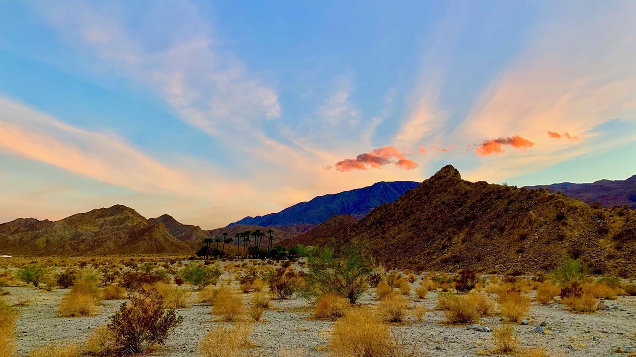 Photo of Outdoor in La Quinta Cove