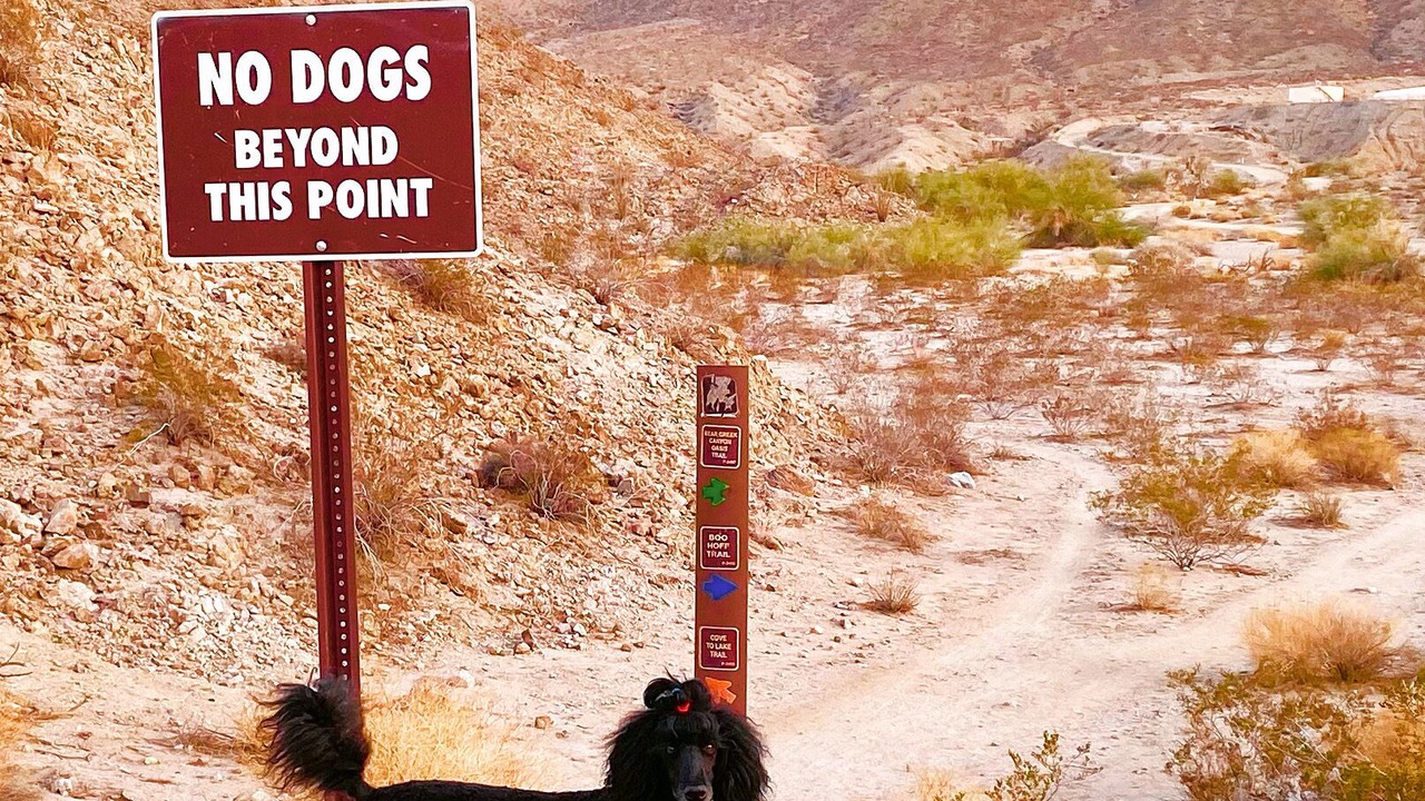Photo of Others in La Quinta Cove