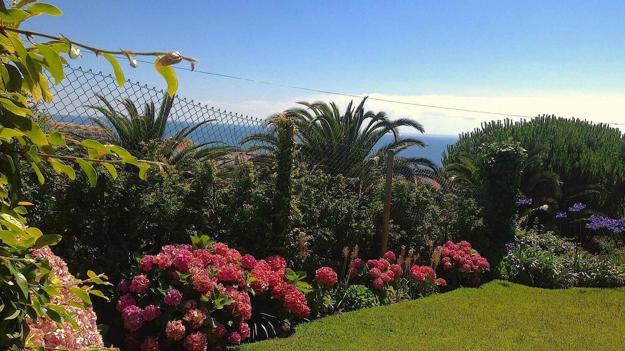 Photo of Outdoor in Ericeira
