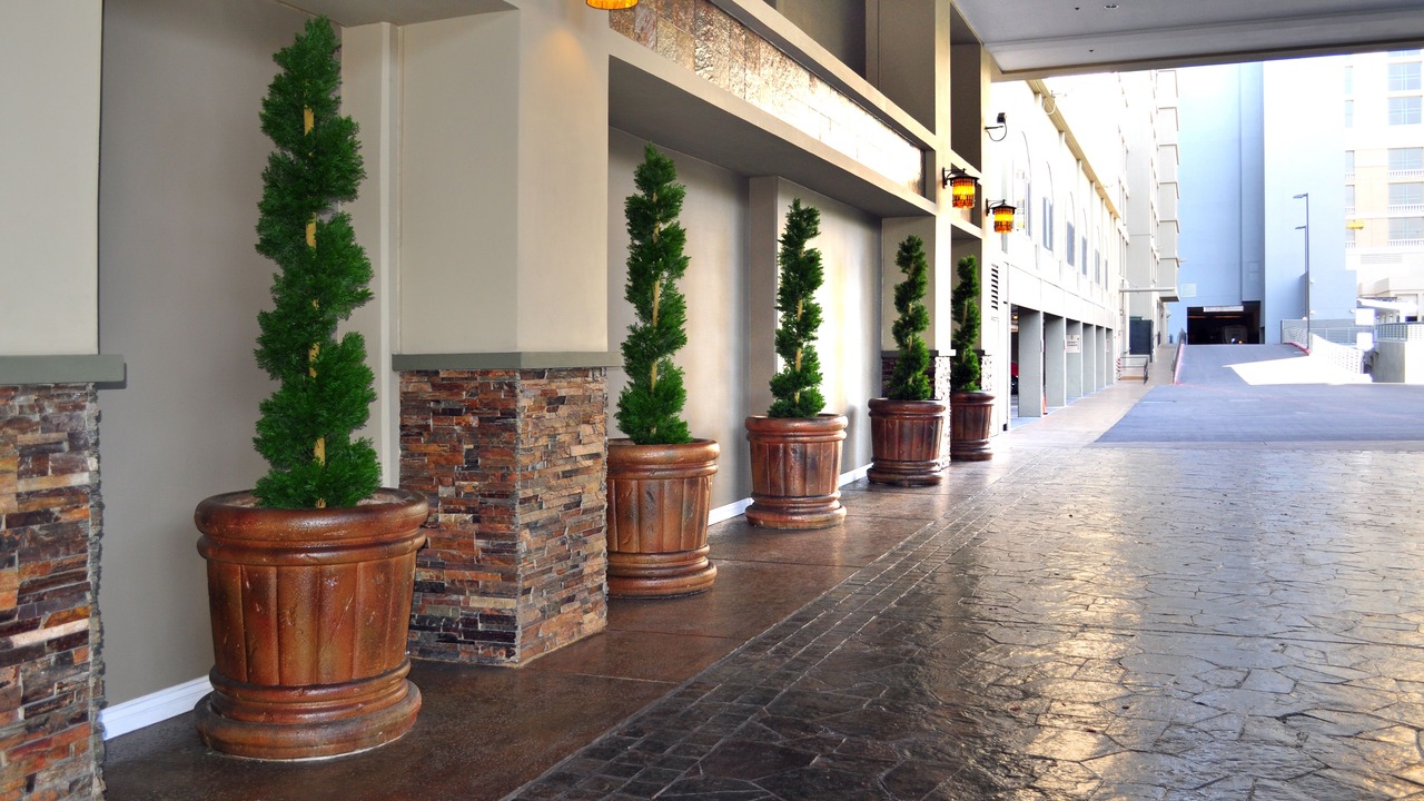 Photo of Outdoor in Las Vegas Strip