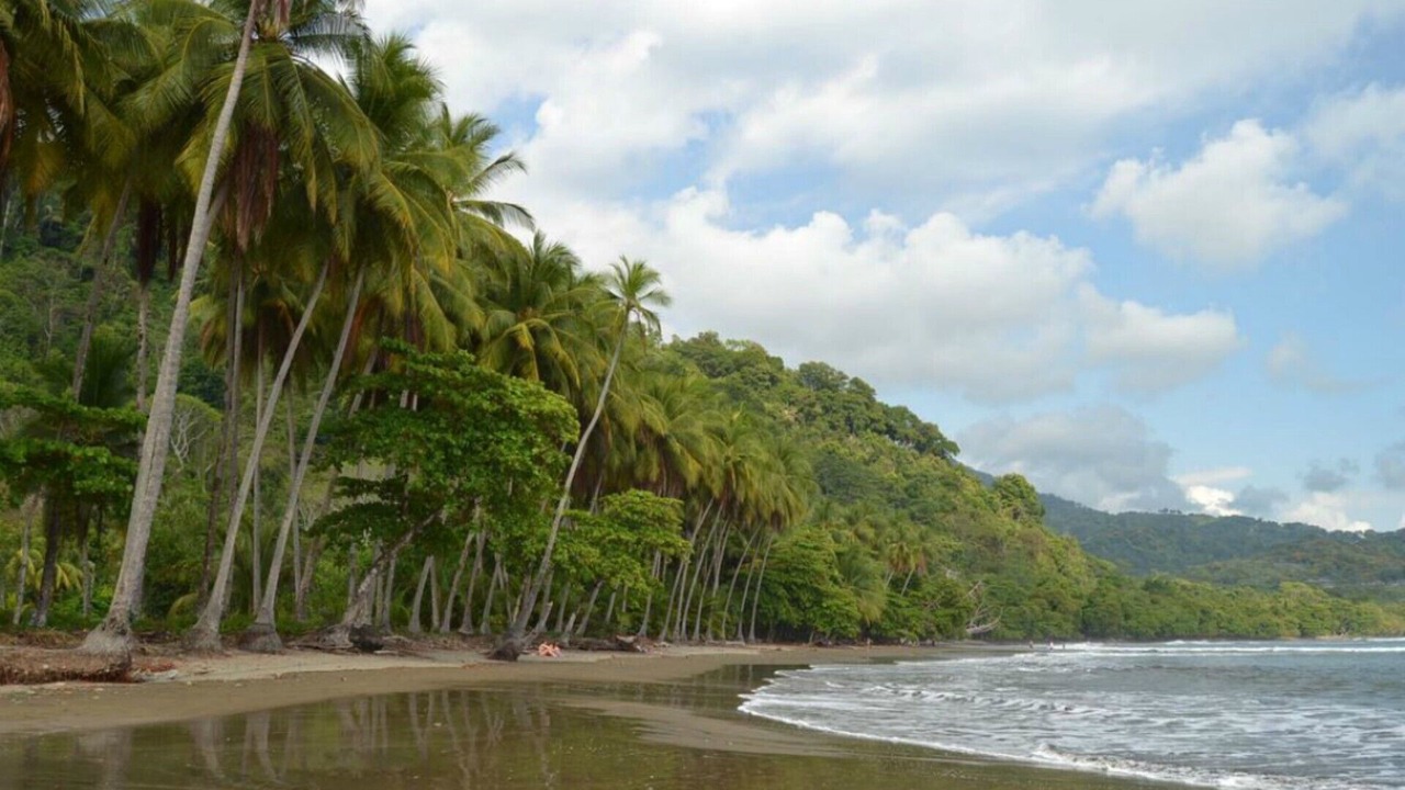 Photo of Others in Uvita
