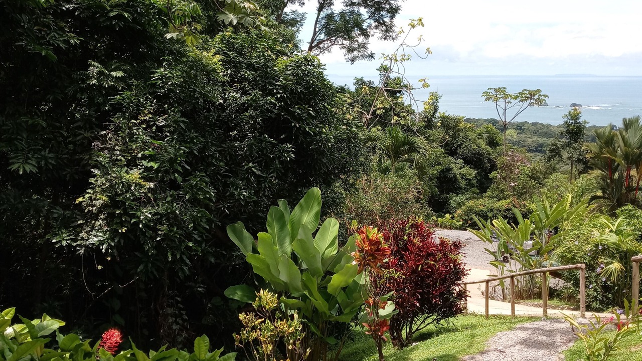 Photo of Others in Uvita