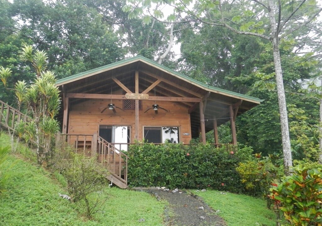 Photo of Others in Uvita