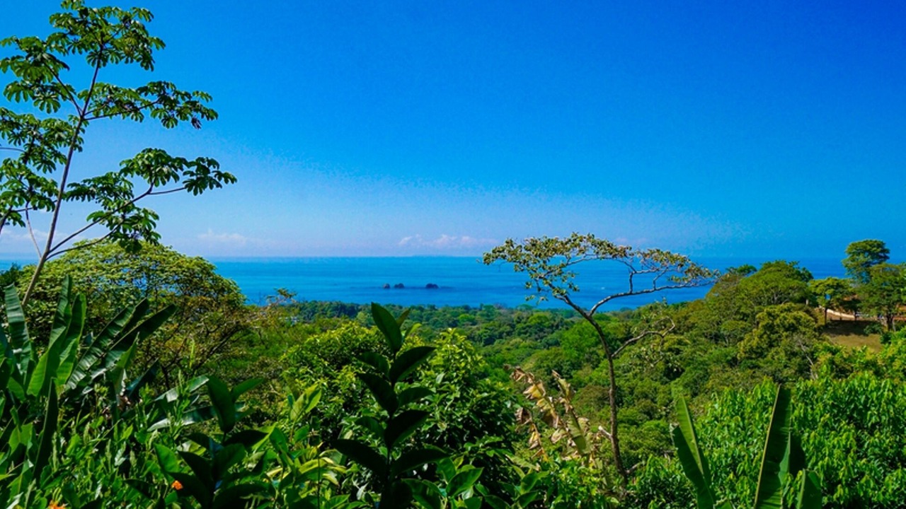 Photo of Others in Uvita