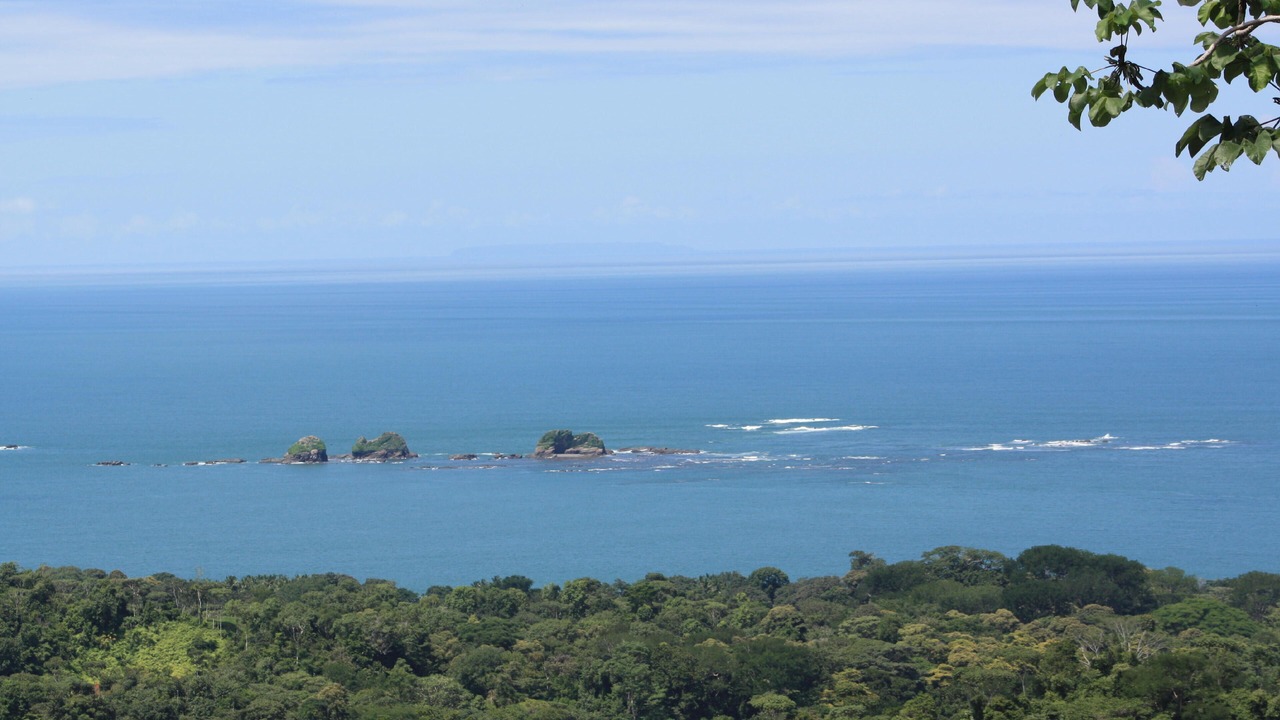 Photo of Others in Uvita
