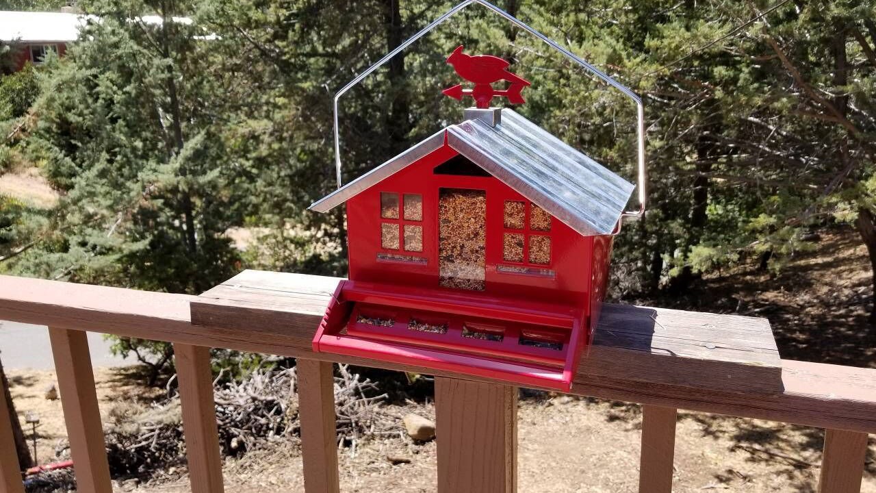 Photo of Outdoor in Julian