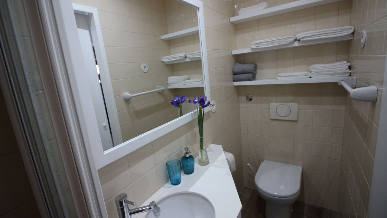 Photo of Bathroom in Arouca