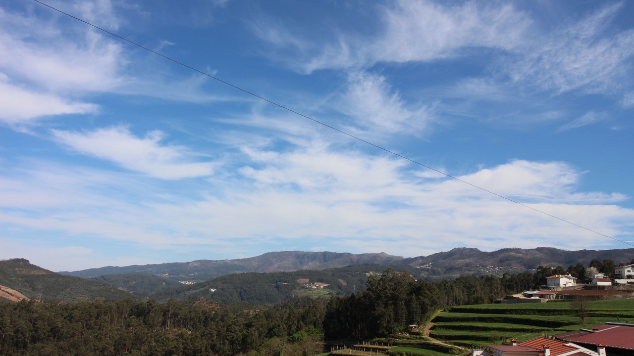 Photo of Others in Arouca