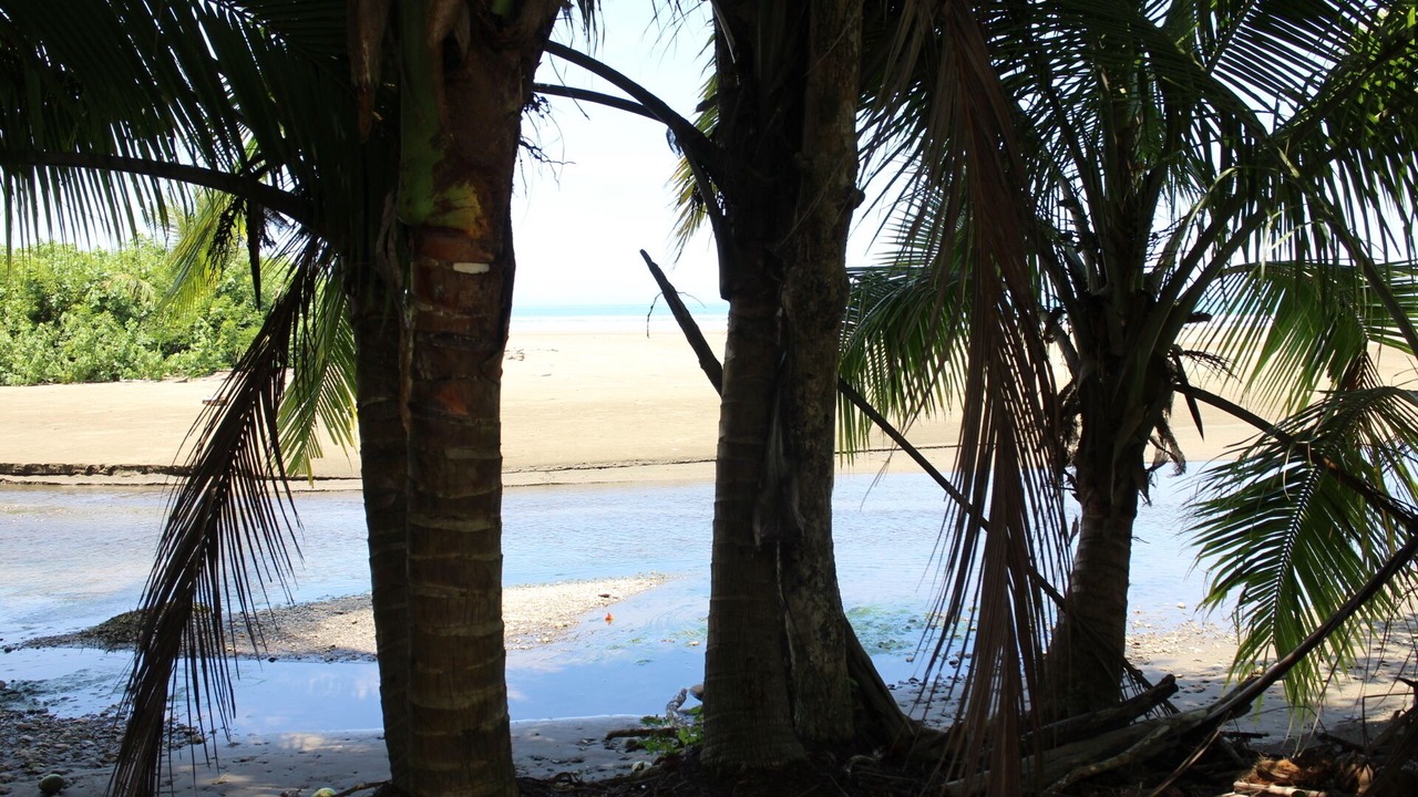 Photo of Others in Uvita