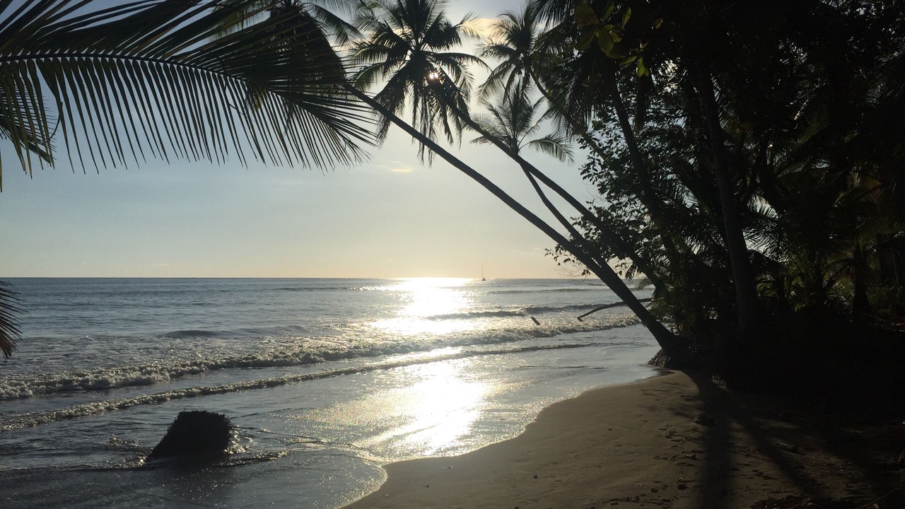 Photo of Others in Uvita