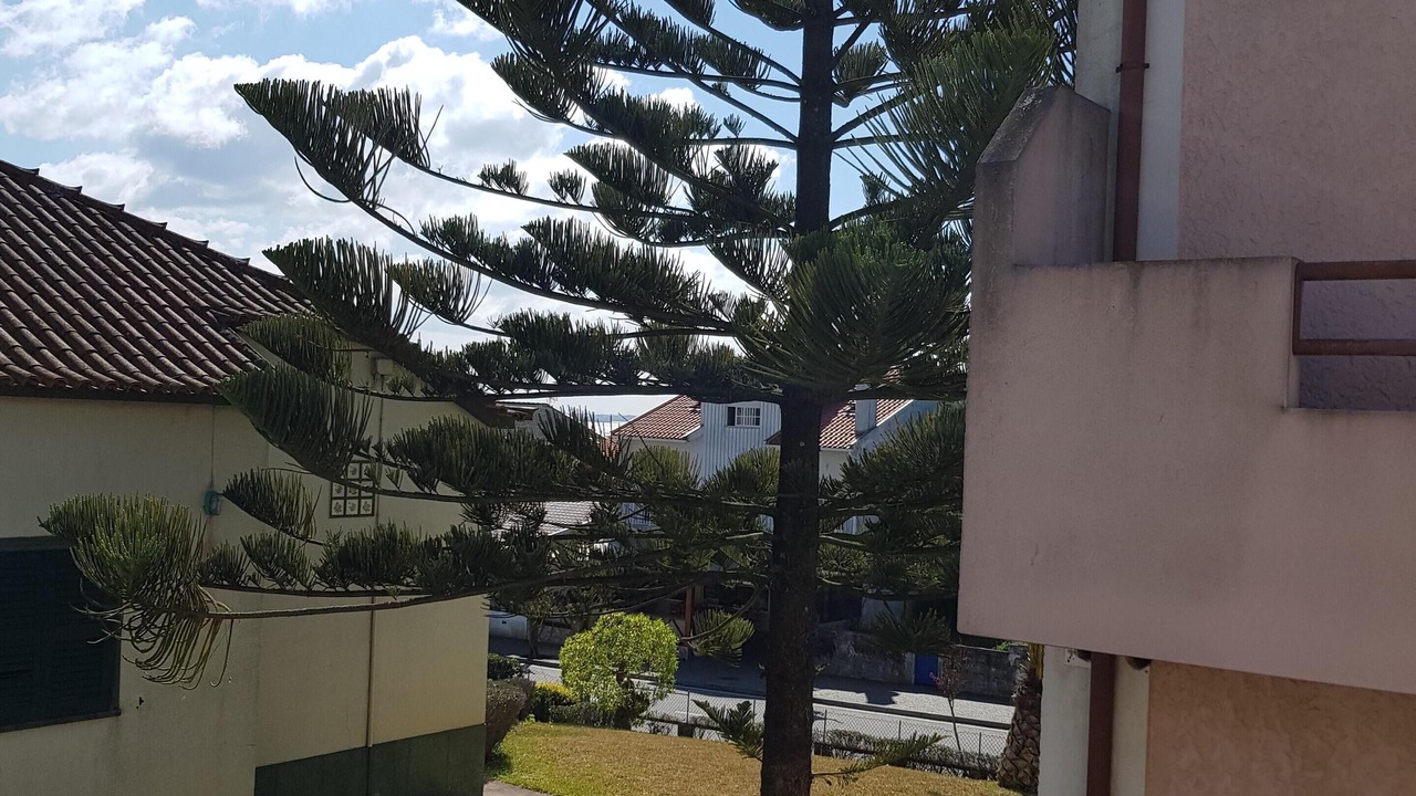 Photo of Outdoor in Torreira