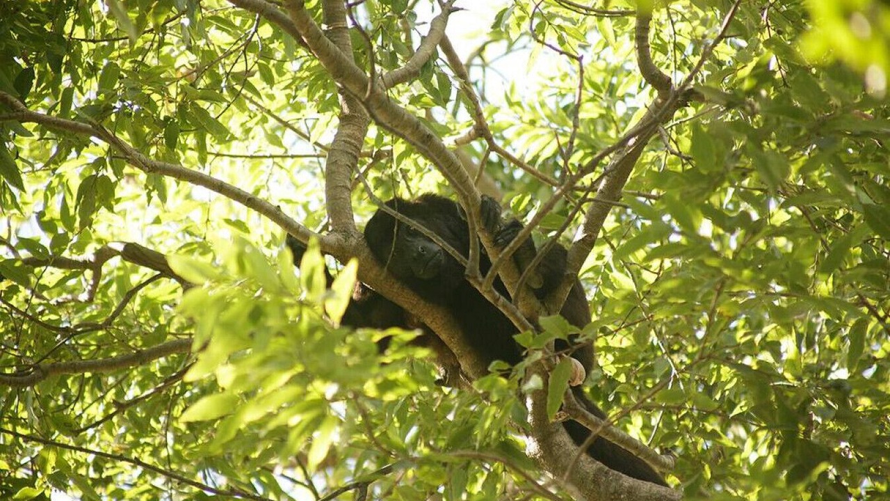 Photo of Others in Rancho Santana