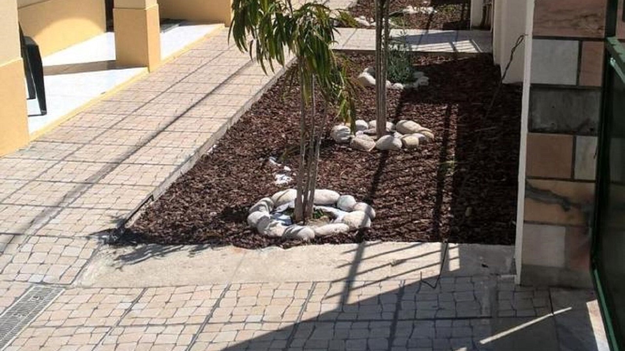 Photo of Outdoor in Quinta Do Conde