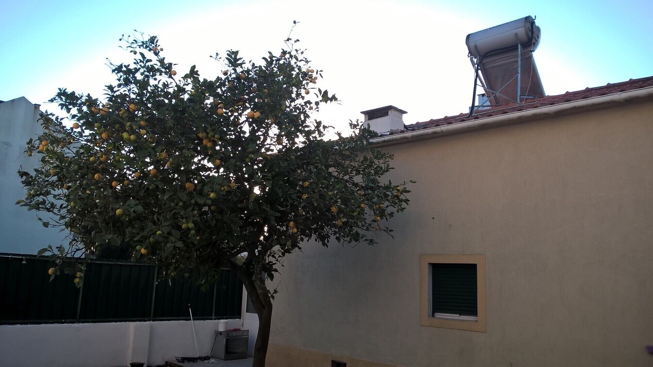 Photo of Outdoor in Quinta Do Conde