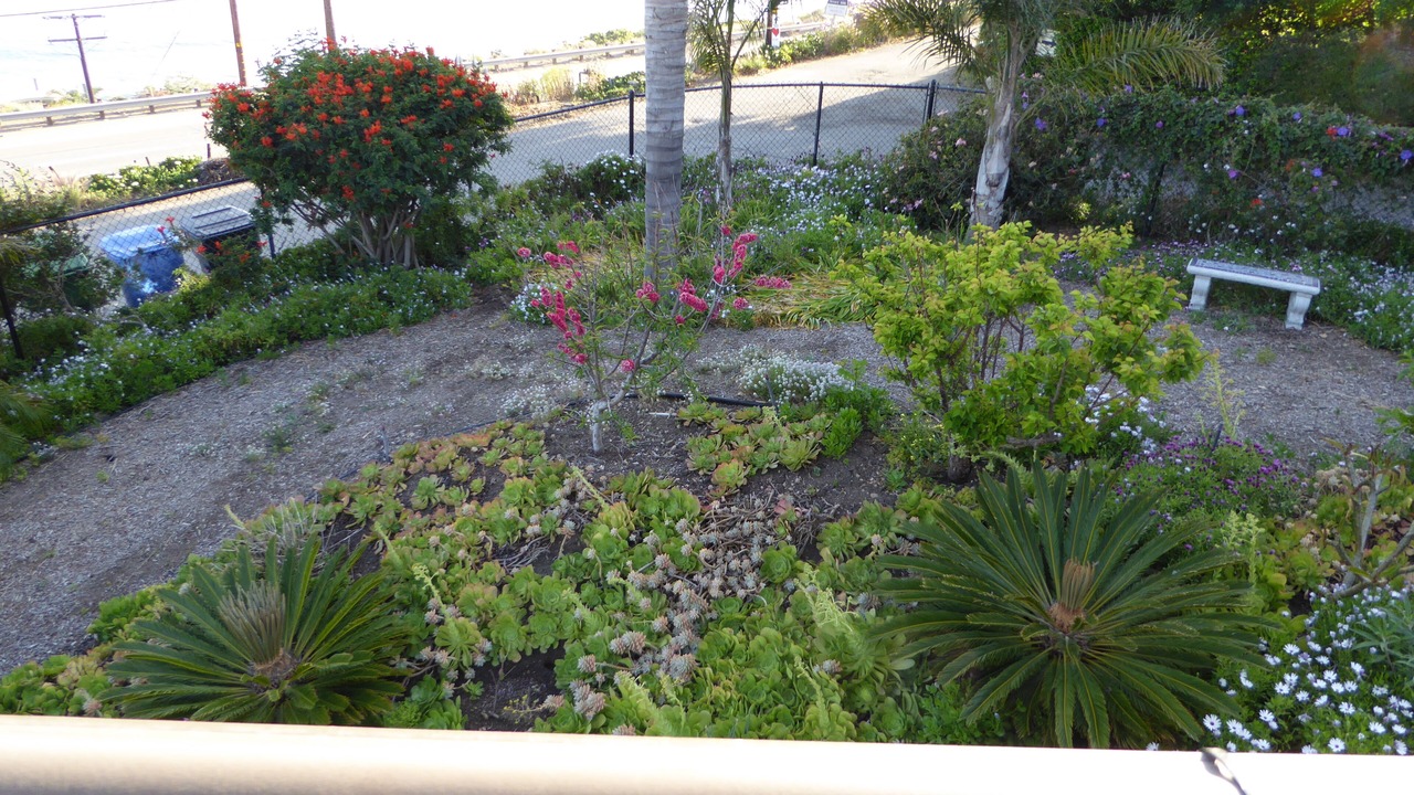 Photo of Outdoor in Western Malibu