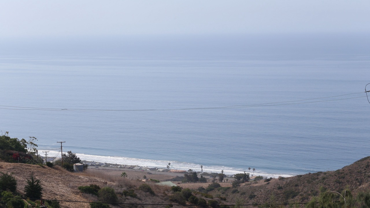 Photo of Others in Western Malibu