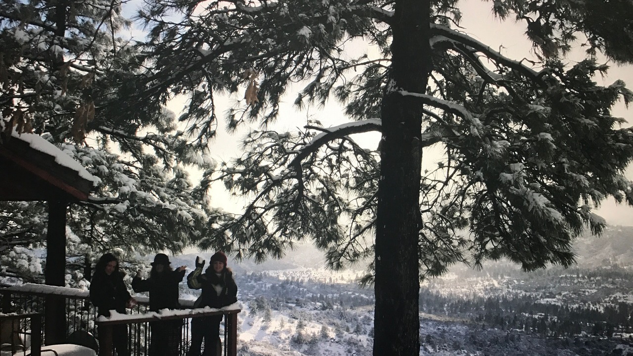 Photo of Others in Idyllwild