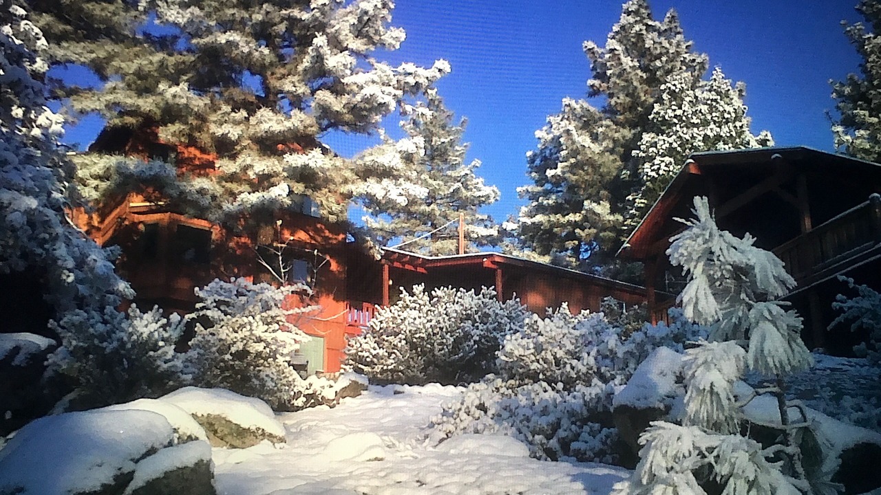 Photo of Others in Idyllwild