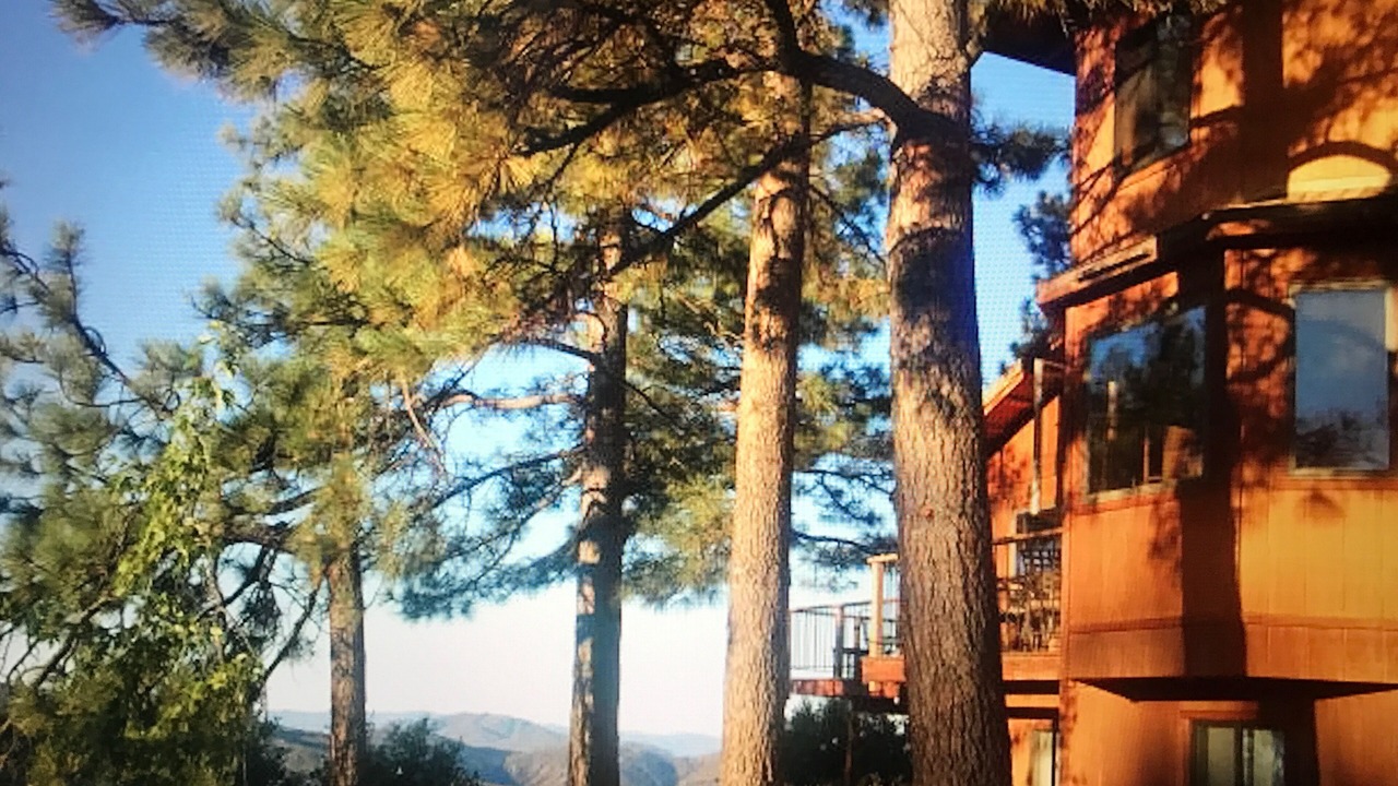Photo of Others in Idyllwild