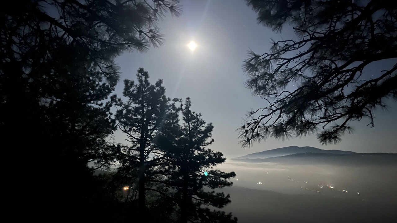 Photo of Others in Idyllwild