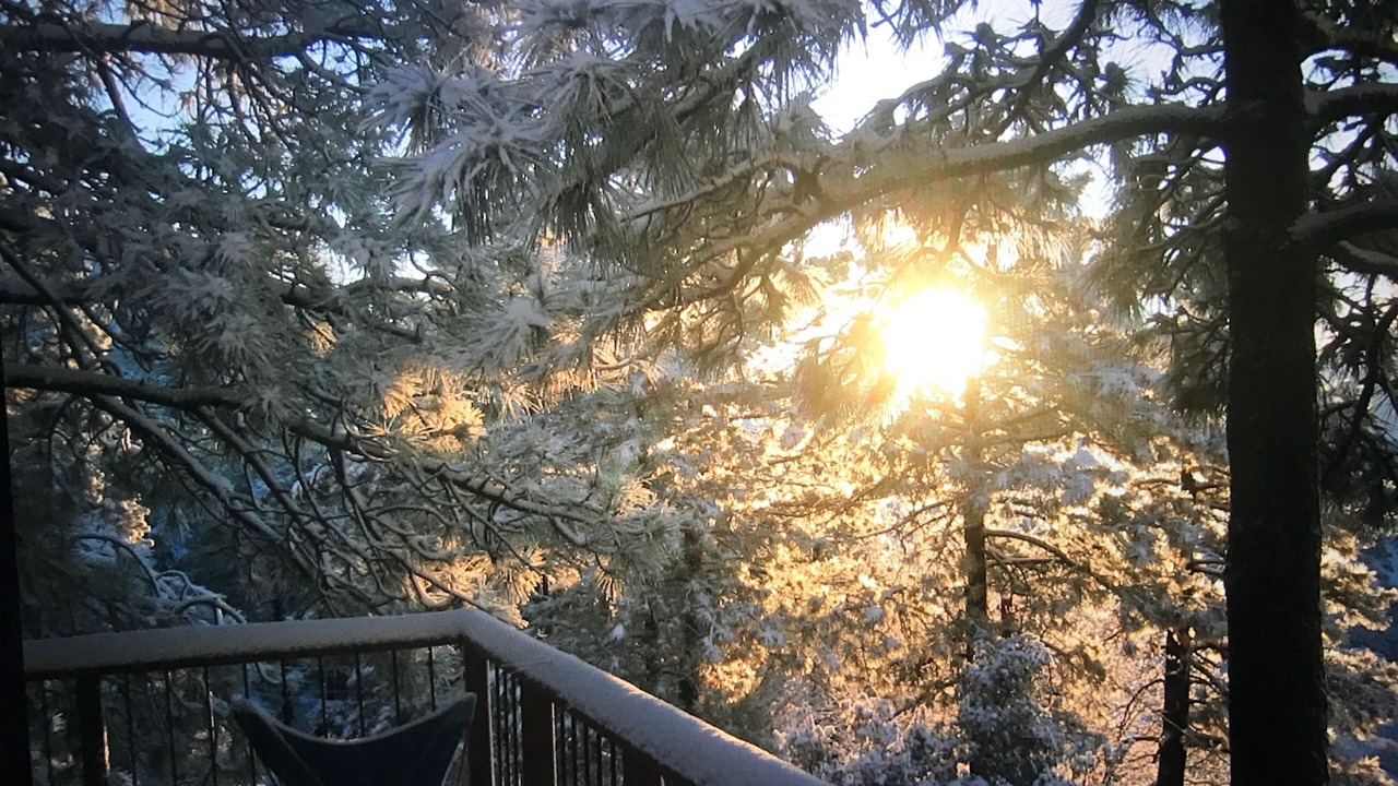 Photo of Others in Idyllwild