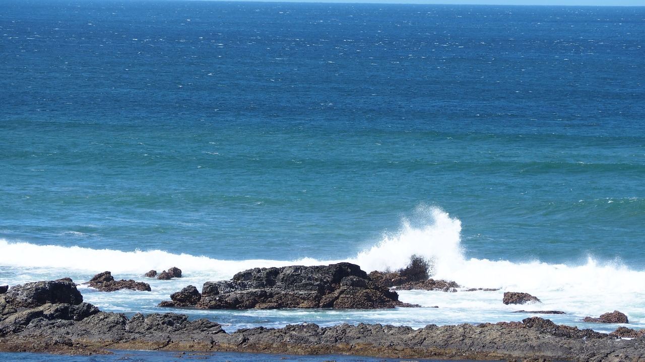 Photo of Others in Playa Langosta