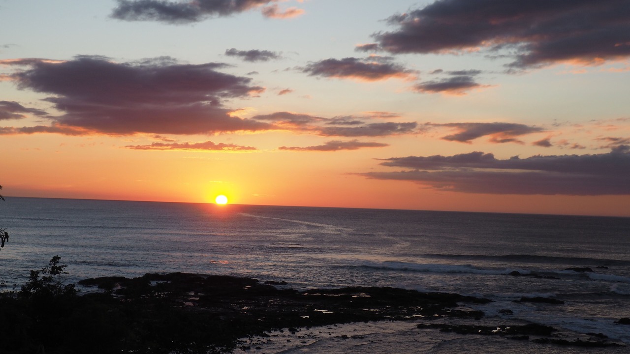 Photo of Others in Playa Langosta