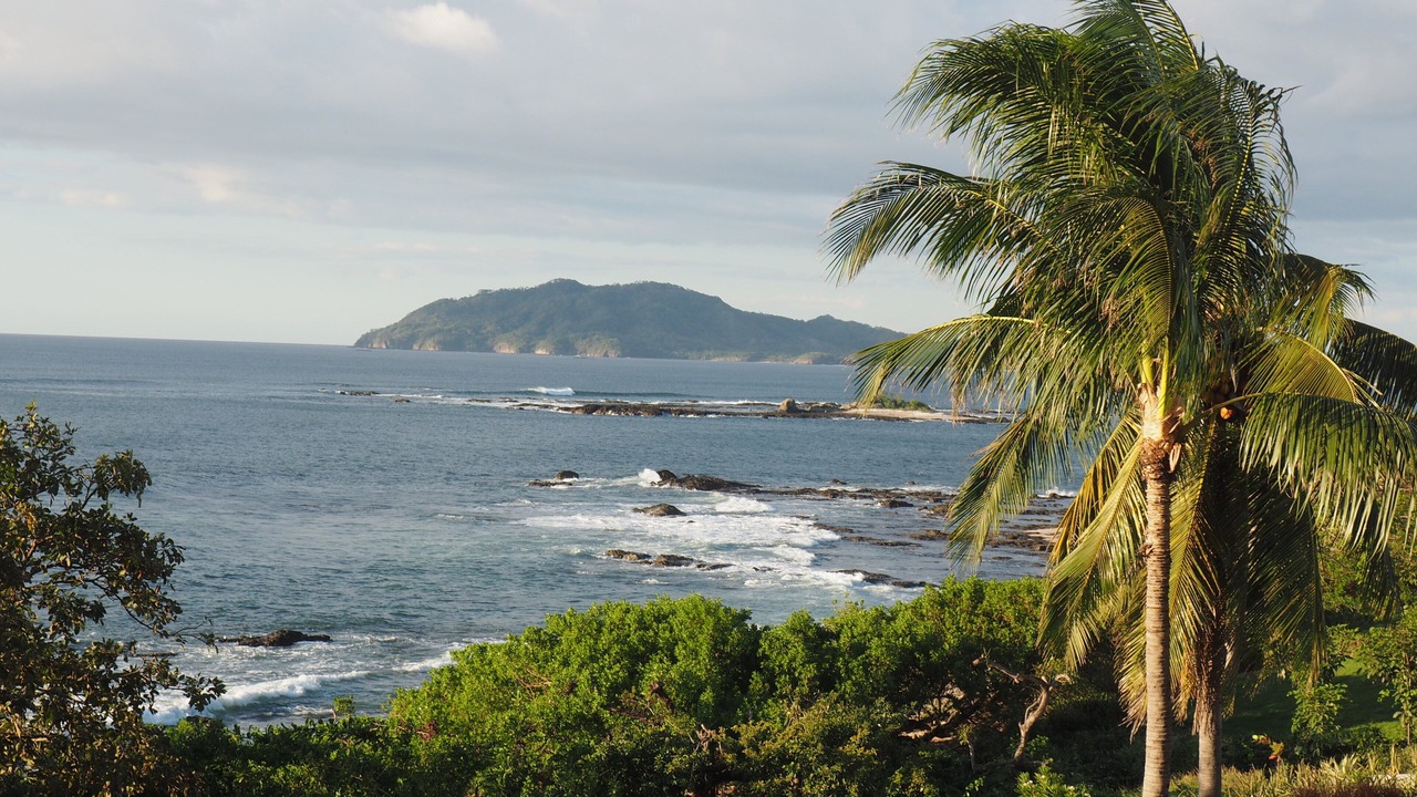 Photo of Others in Playa Langosta