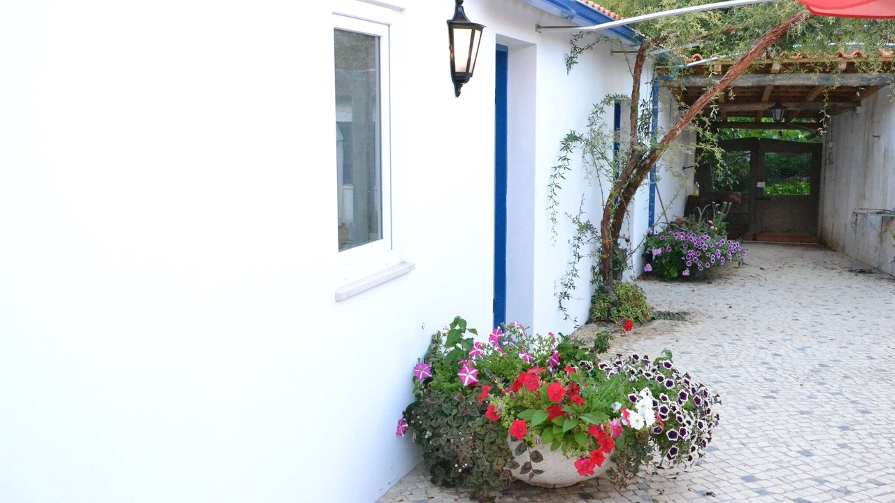 Photo of Outdoor in Alquerubim