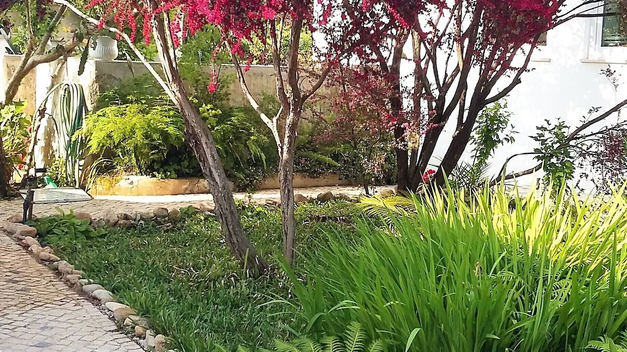 Photo of Outdoor in Alquerubim
