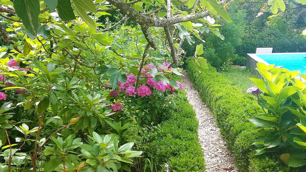 Photo of Outdoor in Alquerubim