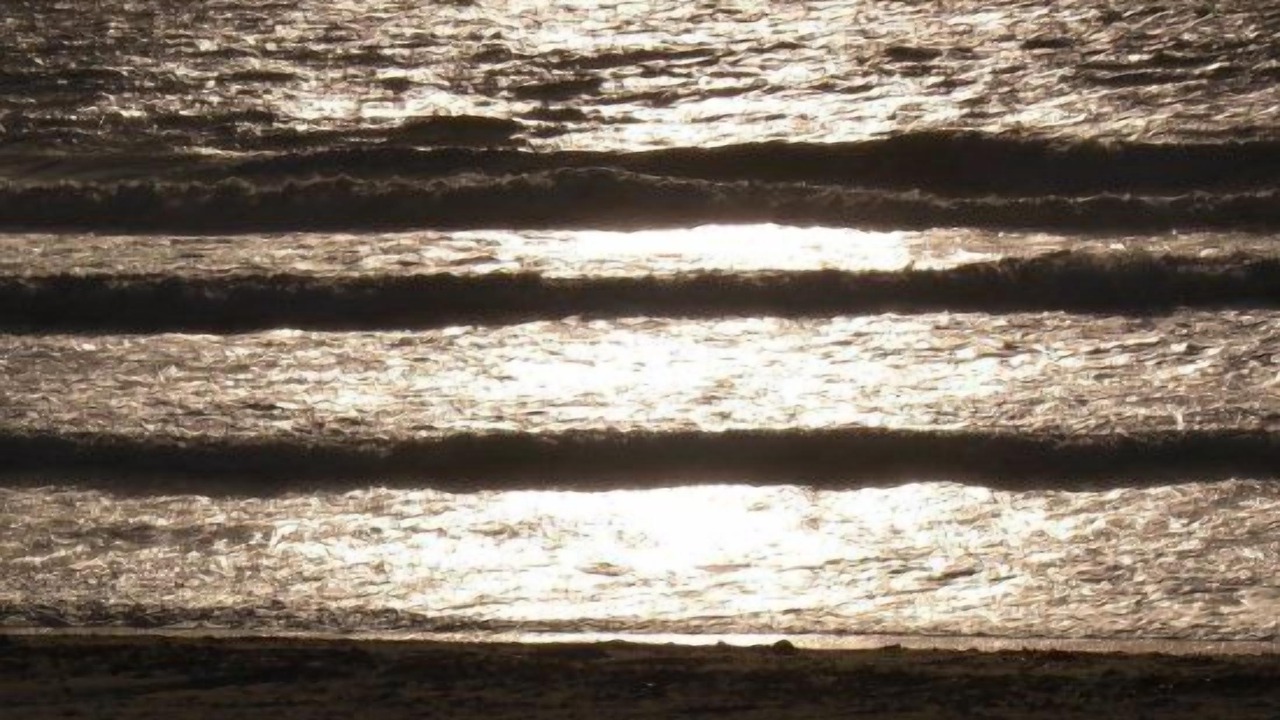 Photo of Others in Mission Beach