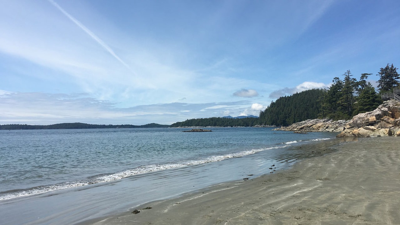 Photo of Others in Tofino