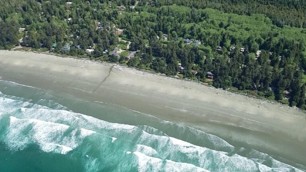Photo of Outdoor in Tofino