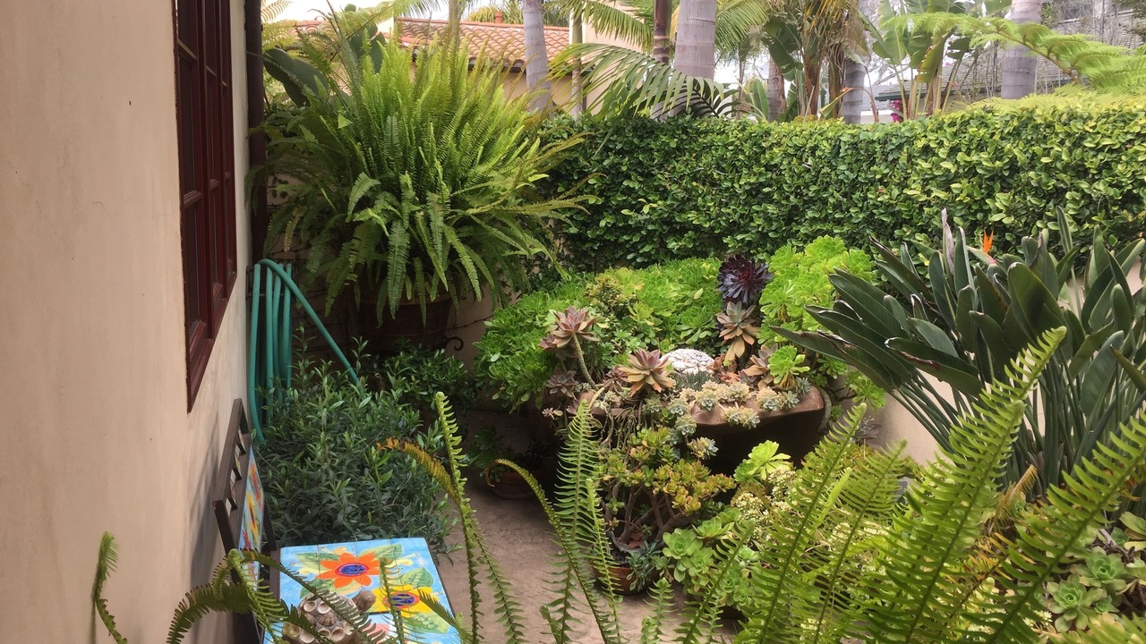 Photo of Outdoor in Montecito