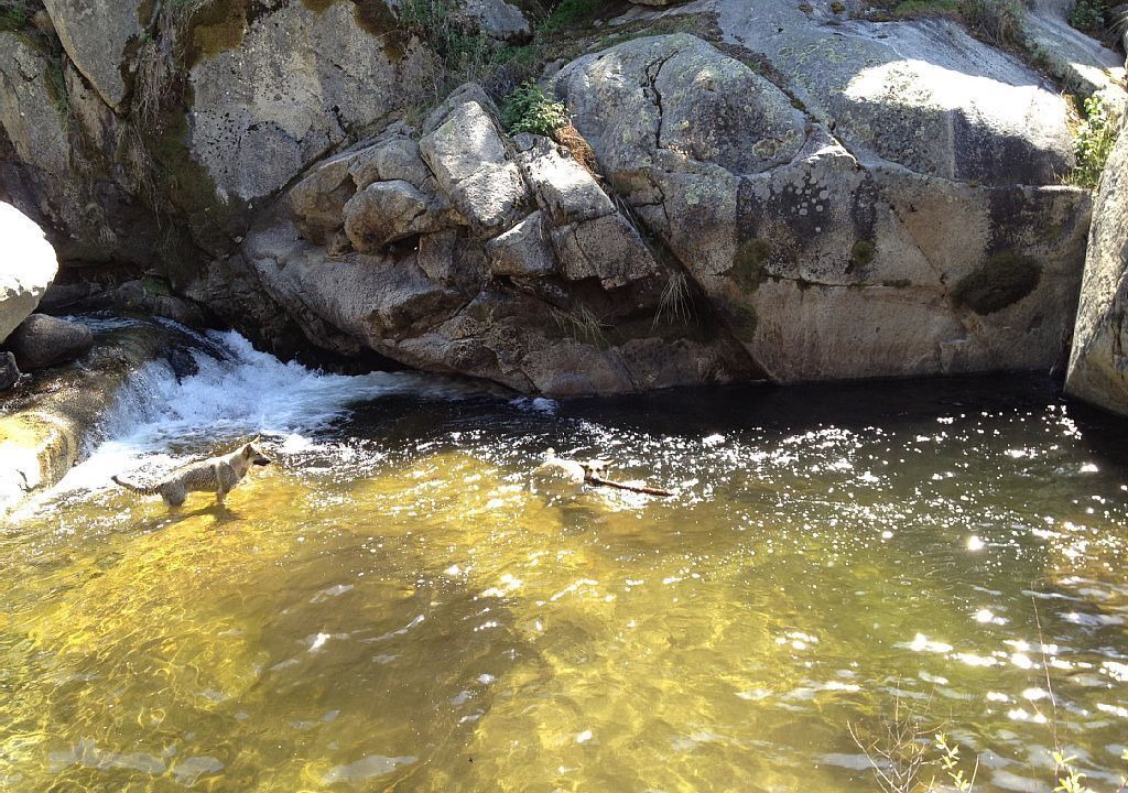 Photo of Others in Three Rivers