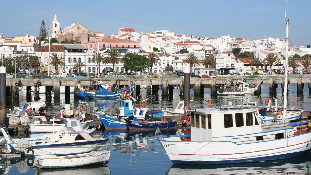 Photo of Others in Telheiro