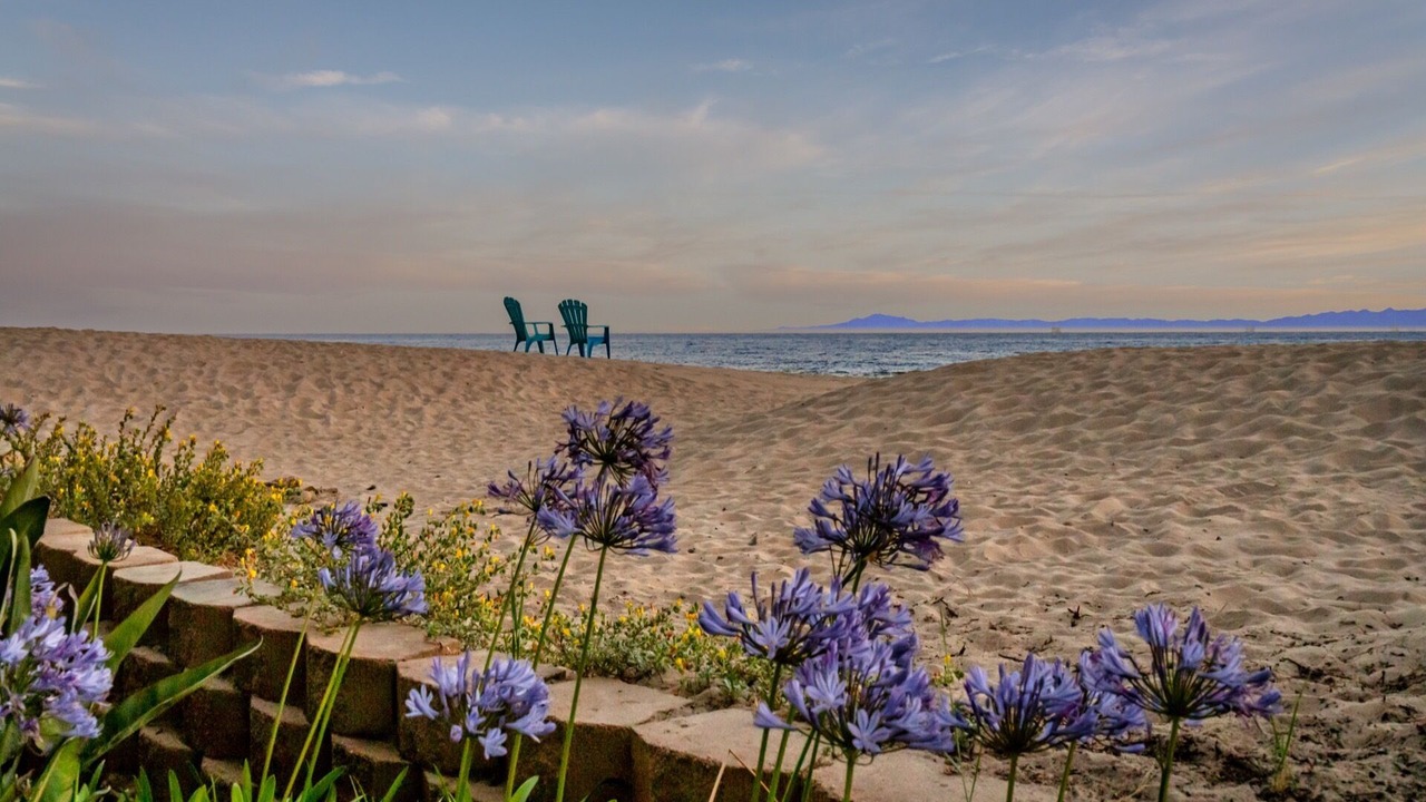 Photo of Others in Carpinteria