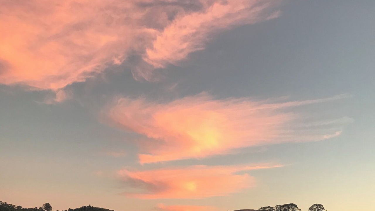 Photo of Others in Tamalpais-Homestead Valley