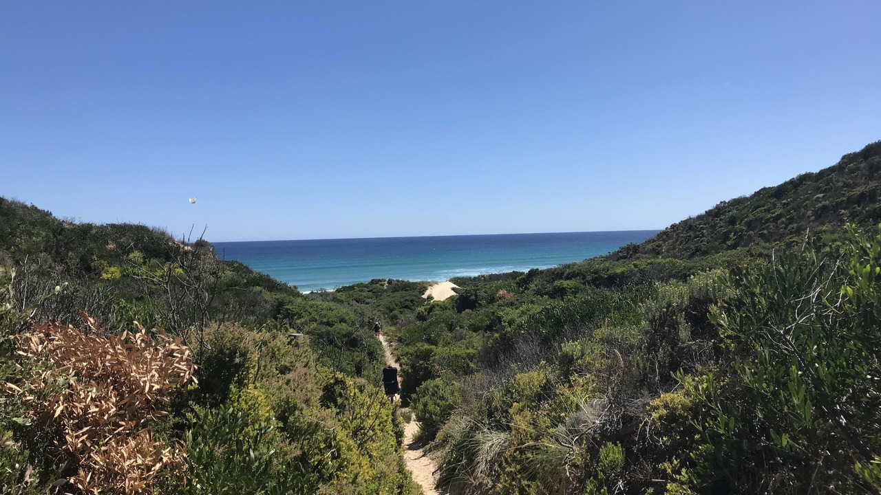 Photo of Others in Venus Bay