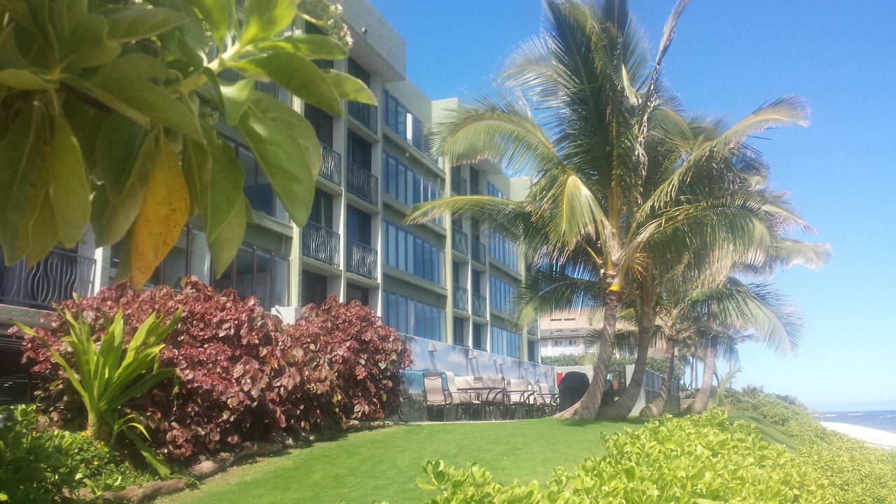 Photo of Others in Mokuleia