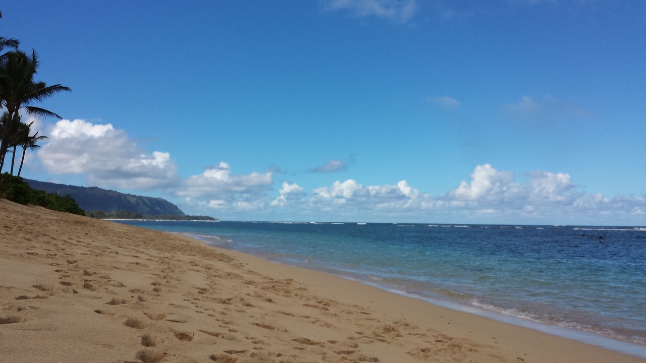 Photo of Others in Mokuleia