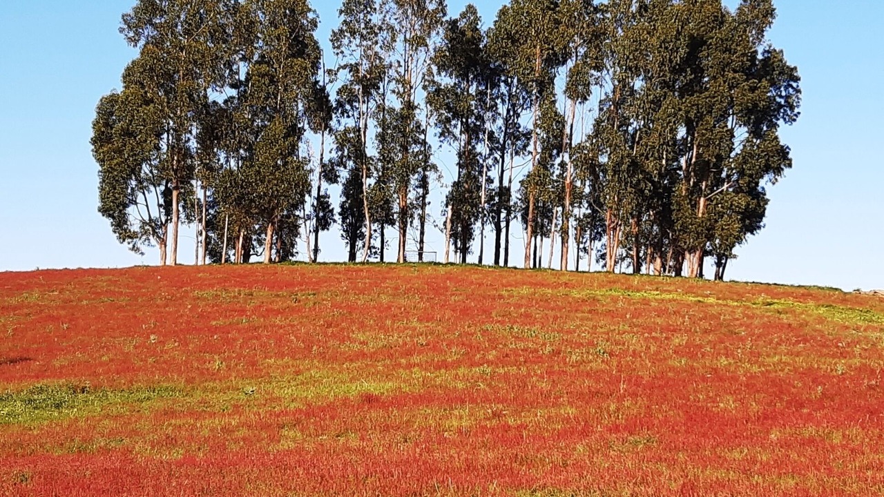 Photo of Others in Aldeia dos Palheiros