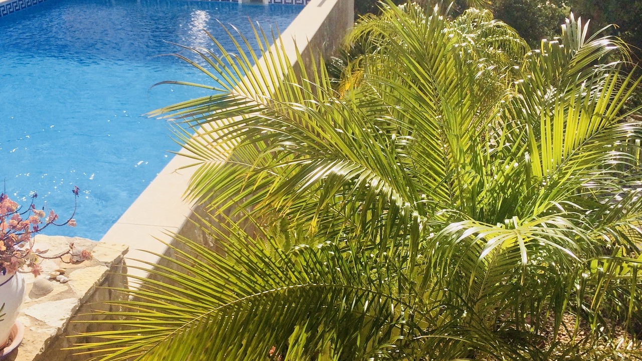 Photo of Outdoor in Santa Catarina da Fonte do Bispo