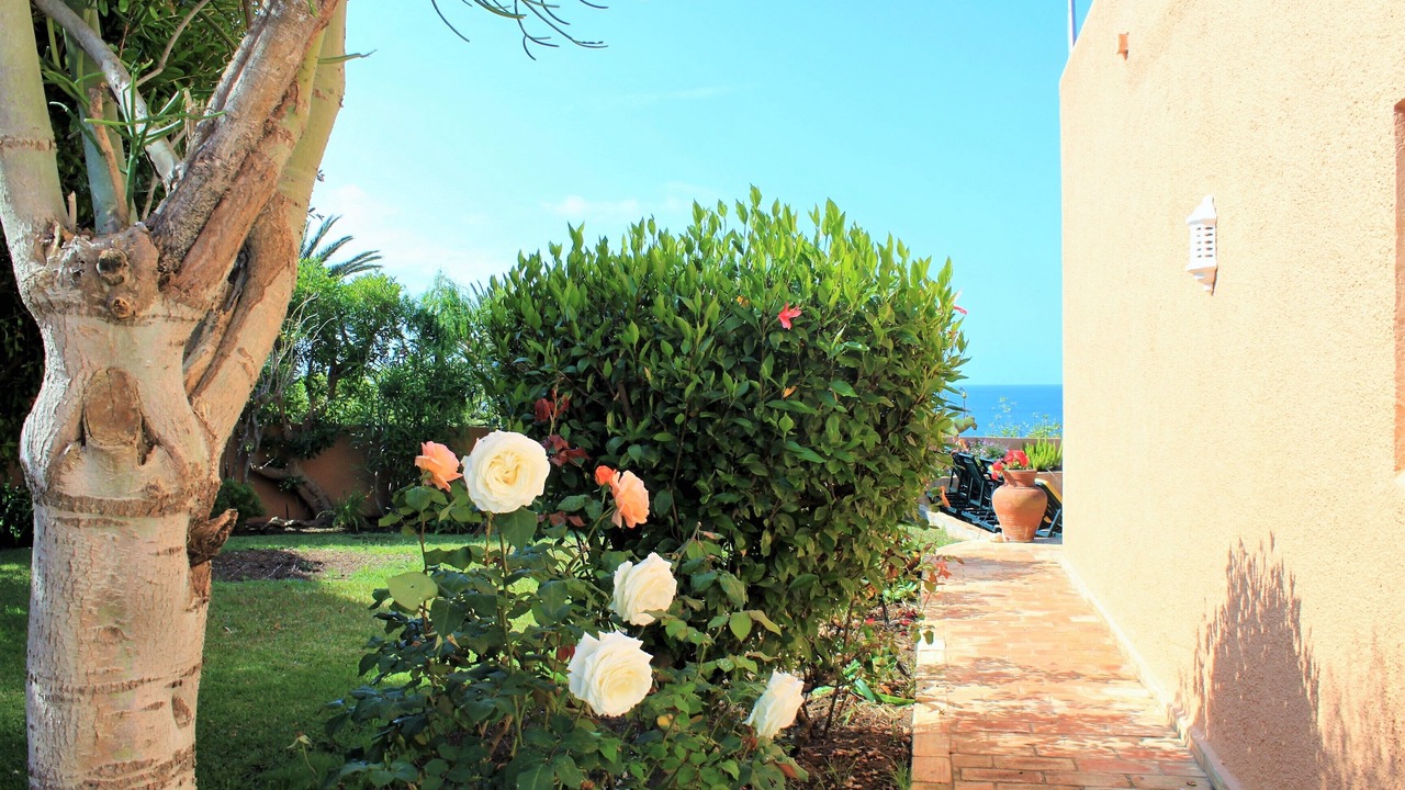 Photo of Outdoor in Porto de Mos
